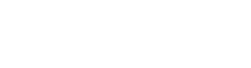 The Mora Law Firm, P.L.L.C.